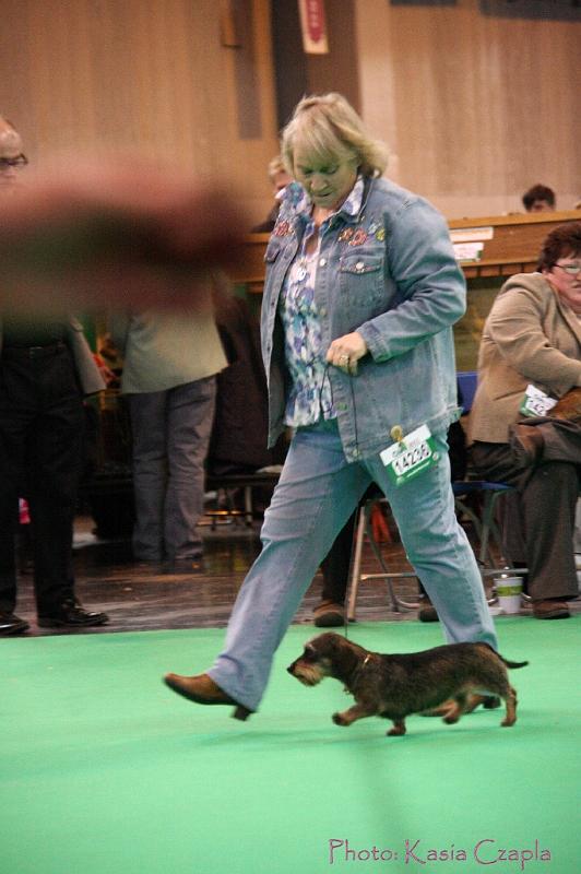 Crufts2011_2 1591.jpg